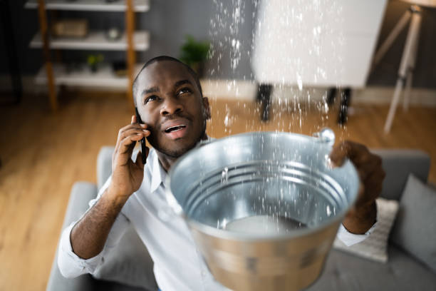 Best Water damage contractors near me  in North Plymouth, MA