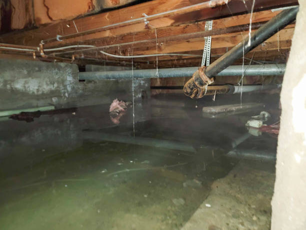Best Water damage restoration process  in North Plymouth, MA
