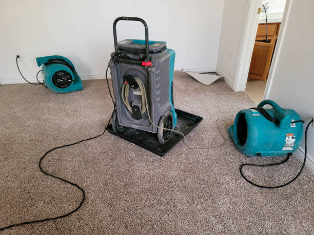Best Fire Damage Restoration  in North Plymouth, MA