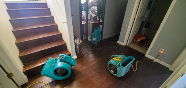 Best Mold removal after water damage  in North Plymouth, MA