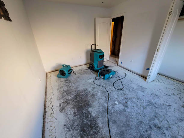 Best Professional water damage repair  in North Plymouth, MA