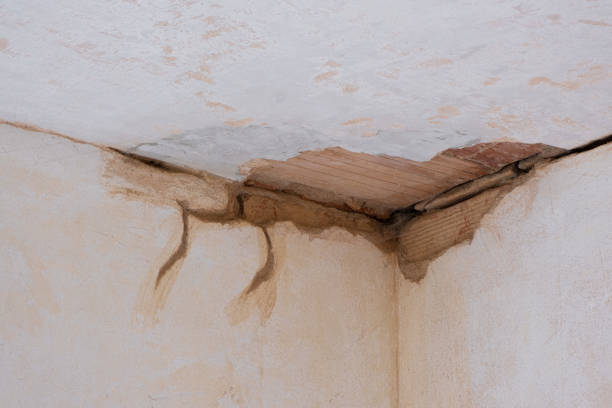 Reliable North Plymouth, MA Water damage restoration Solutions
