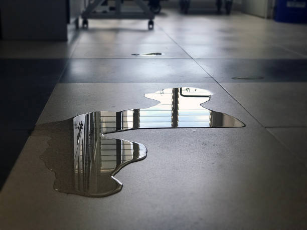 Water damage restoration experts in North Plymouth, MA