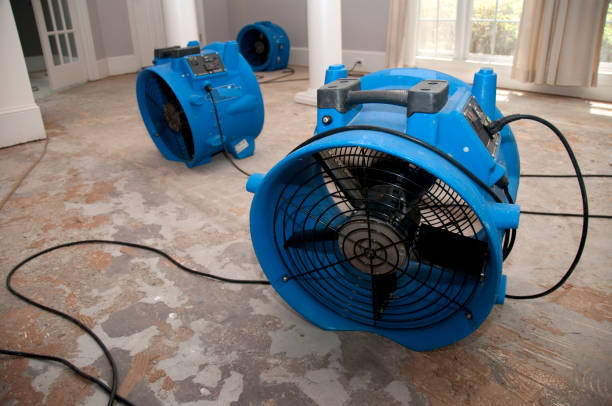 Best 24-hour water damage restoration  in North Plymouth, MA