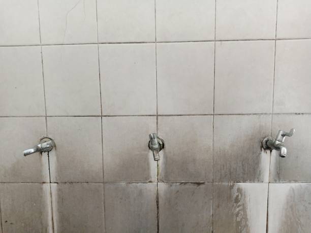 Best Ceiling water damage repair  in North Plymouth, MA