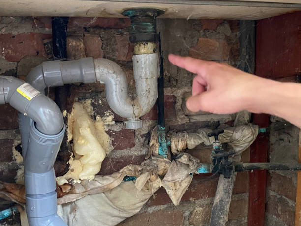 Best Professional water damage repair  in North Plymouth, MA